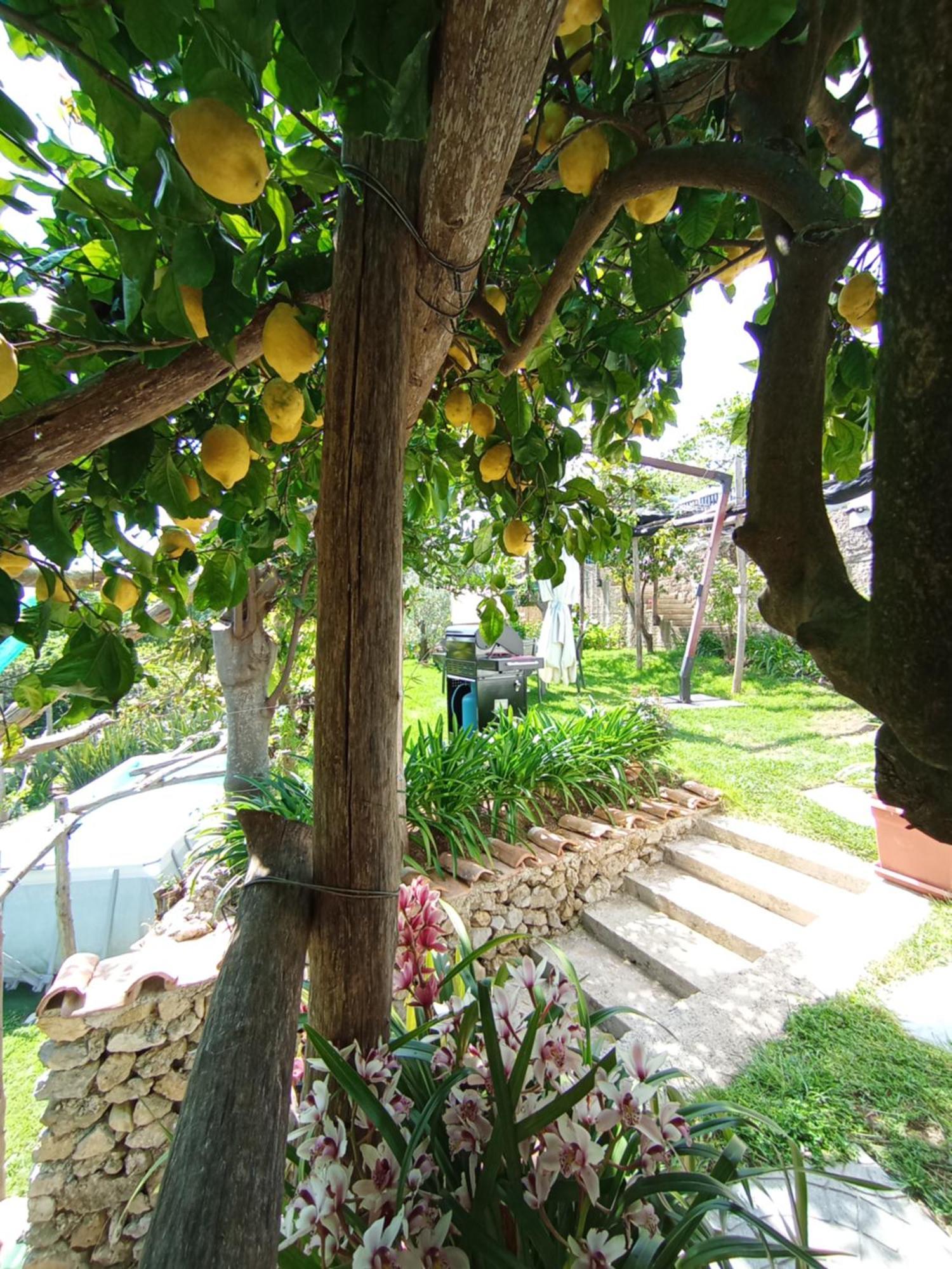 Villa Casa Mia Scala Exterior foto